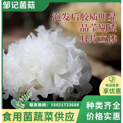 椴木小银耳 朵形小巧胶质浓 煲汤煮粥口感软糯 炖煮易烂图2