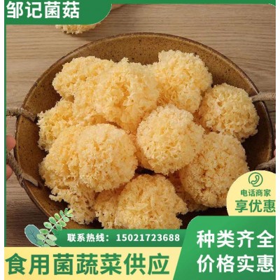 椴木小银耳 朵形小巧胶质浓 煲汤煮粥口感软糯 炖煮易烂图4