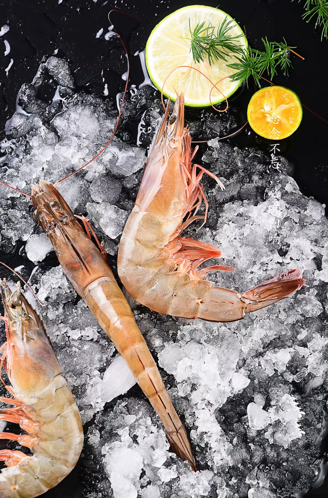 微信图片_20210816221206