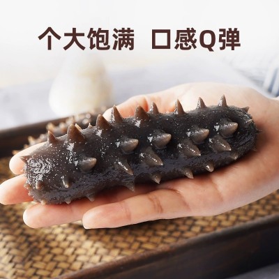 批发野生即食海参肉质鲜美口感Q弹500g袋装鲜食海参低压锁鲜图2