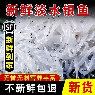 淡干银鱼干无盐小鱼干渔民自晒正宗淡水小银鱼干货农家自制图3