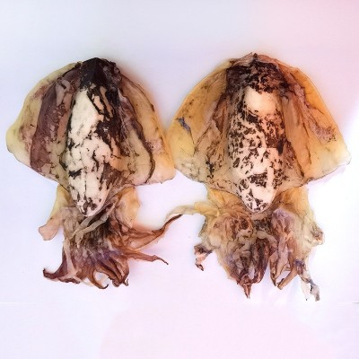 淡水墨鱼墨鱼干新晒目鱼大小乌贼海参煲汤材料特产礼品海鲜干货图2