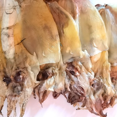 淡水墨鱼墨鱼干新晒目鱼大小乌贼海参煲汤材料特产礼品海鲜干货图3