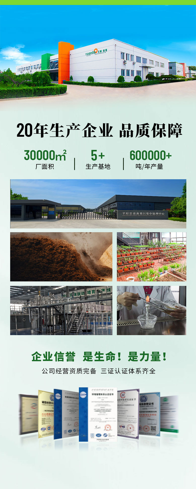 详情页---副本_06