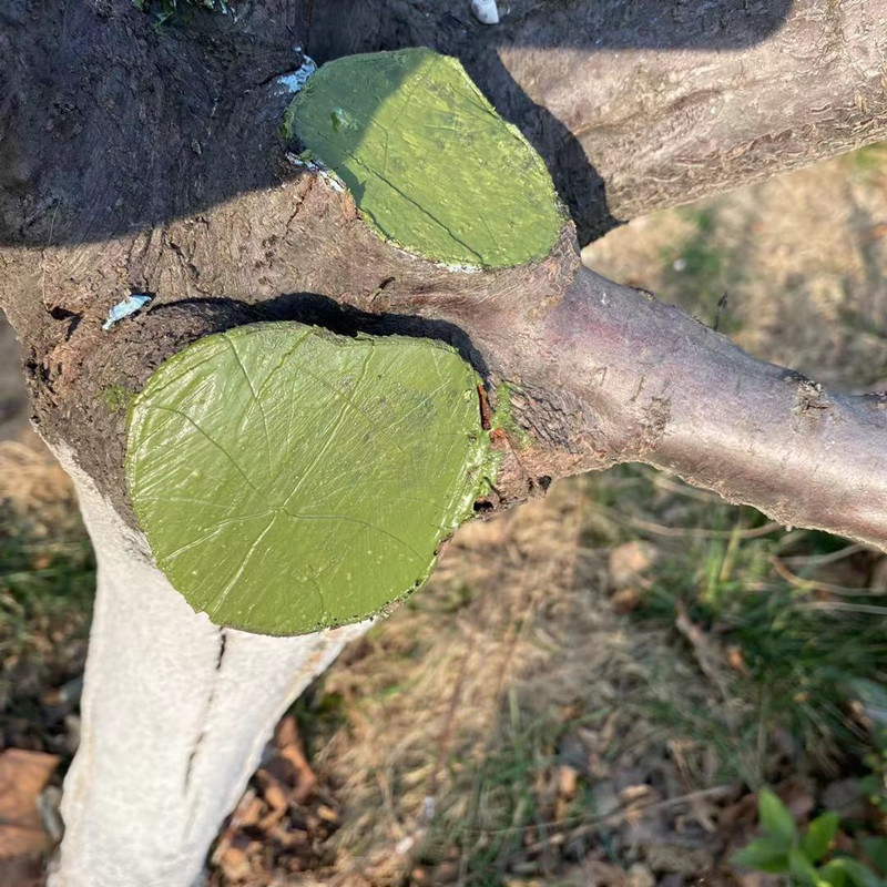 效果图10310123750_副本