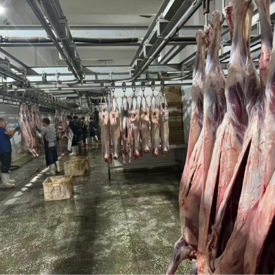 新鲜羊棒骨带肉羊腿骨内蒙古羊肉现杀冷冻羊筒骨腿吸骨髓煲汤批发图5