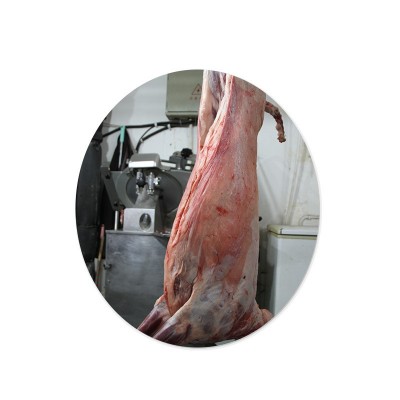 新鲜羊棒骨带肉羊腿骨内蒙古羊肉现杀冷冻羊筒骨腿吸骨髓煲汤批发图4