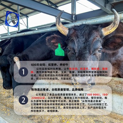 名牛黑牛国产和牛A1三筋新鲜 谷饲 原切牛肉 牛排 烤肉 涮肉图5