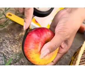 如果将苹果和橙子扦插种植，能同时长出苹果橙子吗