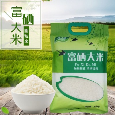 安徽石台富硒大米2.5kg 5斤装礼品圆粒大米 大米厂家直批图2