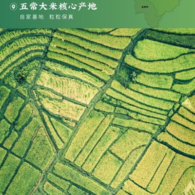 厂家批发 五常稻花香米24年东北当季新米 10斤 真空礼盒包装 五常图3