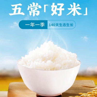 厂家批发 五常稻花香米24年东北当季新米 5斤 真空包装 五常大米图3