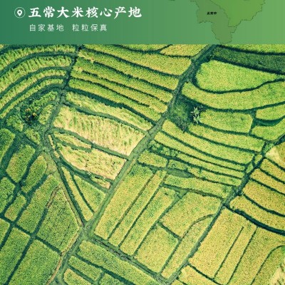 厂家批发 五常稻花香米24年东北当季新米 5斤 真空包装 五常大米图5