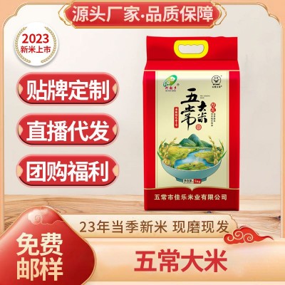 厂家批发 五常稻花香米24年东北新米 10斤20斤真空包装 五常大米图3