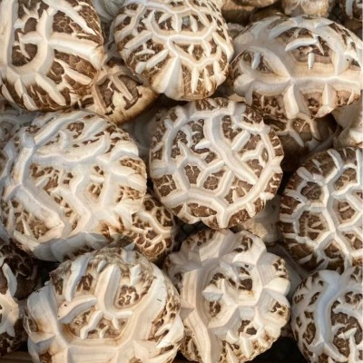 福建宁德寿宁工厂直供高山花菇4.0cm均一菇径250g 农产品菌菇现货图4