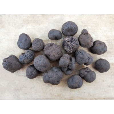 鲜黑松露散装250g云南食用块菌猪拱菌新鲜现挖一件代发鲜挖直供图5