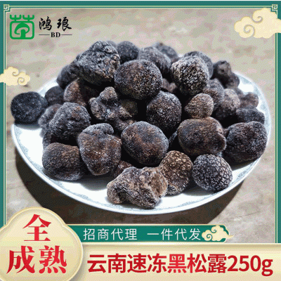 全成熟速冻黑松露特产块菌猪拱菌散装250g 产地冰鲜批发支持代发图3