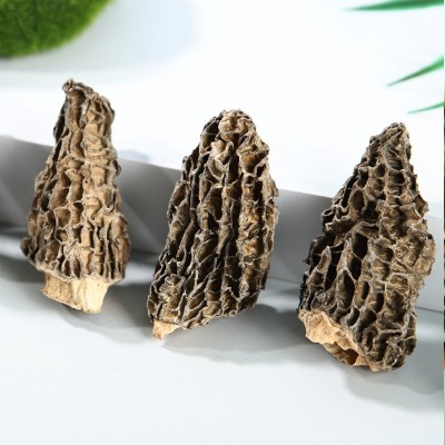 四川金堂地理标志羊肚菌丑菇袋装羊肚菌干货干菌食用菌煲汤火锅菜图4