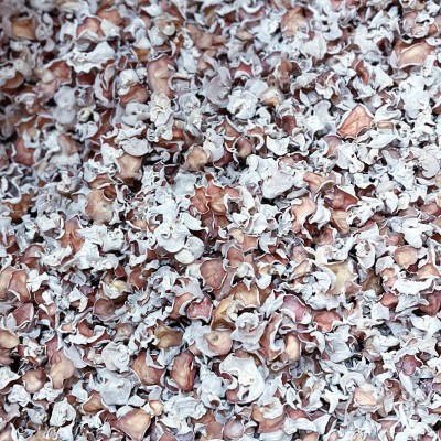 四川贵妃干粉木耳拌凉网红火锅冒菜酒店菜品批发散装发干粉木耳图3