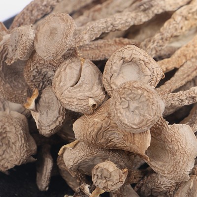 鹿茸菇茸菇干货福建特产食用菌农产品批发整袋松茸炖品小鸡优质图4