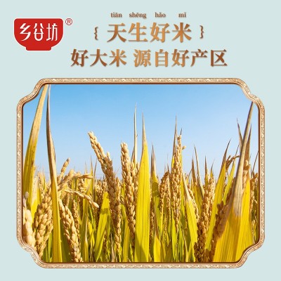 乡谷坊软香丝苗大米5kg 5斤长粒猫牙米新米大米