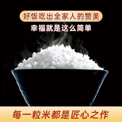 乡谷坊长粒猫牙米长粒大米5kg一袋5斤真空米大米10斤一袋大米新米图4