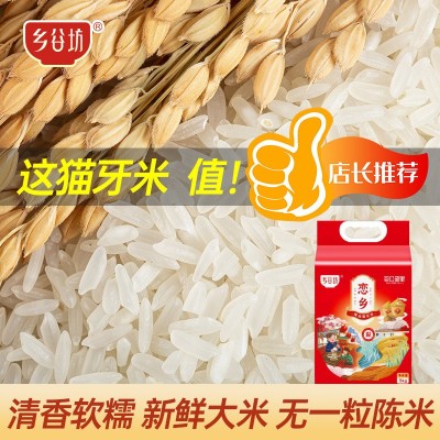 乡谷坊长粒猫牙米长粒大米5kg一袋5斤真空米大米10斤一袋大米新米图3