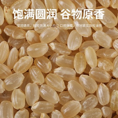 德伟有机糙米1kg/罐装糙米饭健身代餐杂粮纤维饱腹批发五谷杂粮米图3