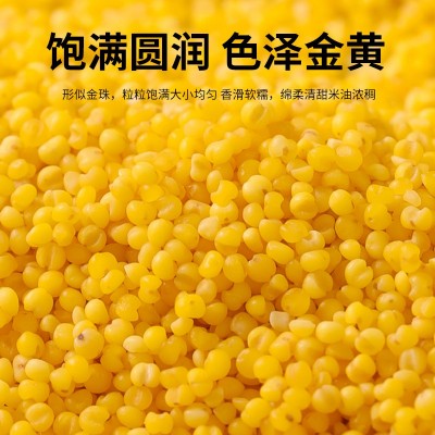 德伟有机小米1kg农家香糯小米五谷杂粮东北黑土地黄金小米粥批发图4