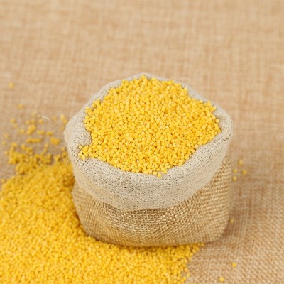 厂家批发 金珠泉敖汉小米2.5kg 正宗敖汉旗黄小米产地直采5斤装图2