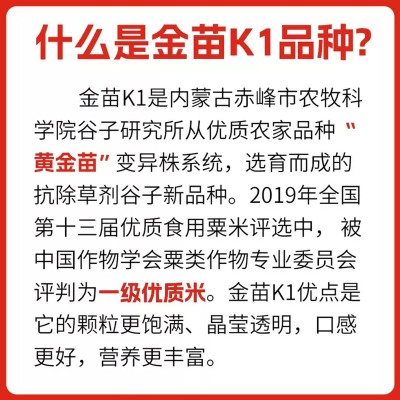 厂家批发 金珠泉敖汉小米2.5kg 正宗敖汉旗黄小米产地直采5斤装图3