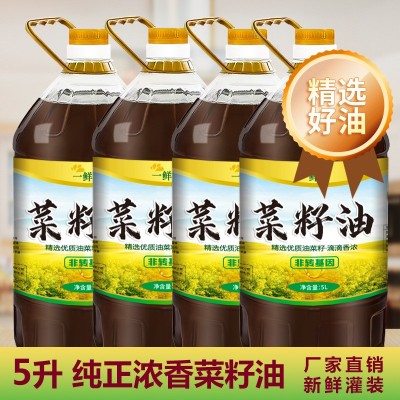 一鲜馋批发代理低芥酸菜籽油厂家直销5升食用油年货送礼佳品批发图3