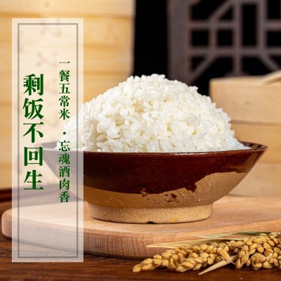 2025年五常有机稻花香大米5kg真空袋装礼盒装东北新米厂家代发