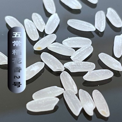 2025年五常大米稻花香米5斤东北富硒新米5kg10斤厂家批发代发图2