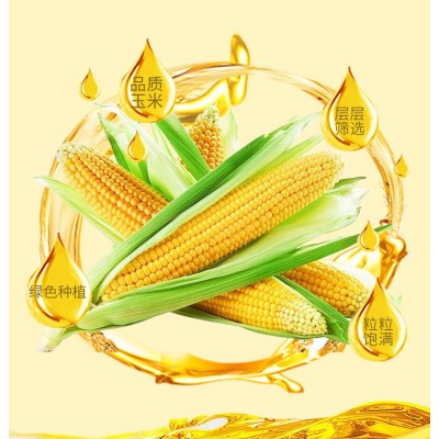 萱香玉米油食用油 小瓶油食用油 厂家批发商用 500ML非转基因玉米图4