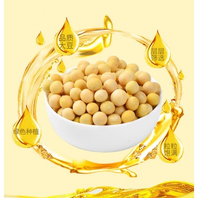 厂家供应萱香精炼一级大豆油500ml 炒菜烘焙食用油小瓶装批发团购图4