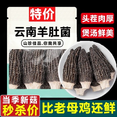 【净重发货】2025云南羊肚菌干货菜类煲汤新鲜牛肚菌火锅食材批发图2