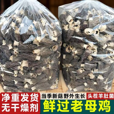 【净重发货】2025云南羊肚菌干货菜类煲汤新鲜牛肚菌火锅食材批发