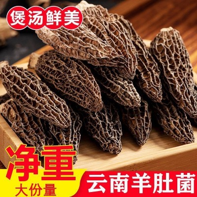 【净重发货】2025云南羊肚菌干货菜类煲汤新鲜牛肚菌火锅食材批发图4