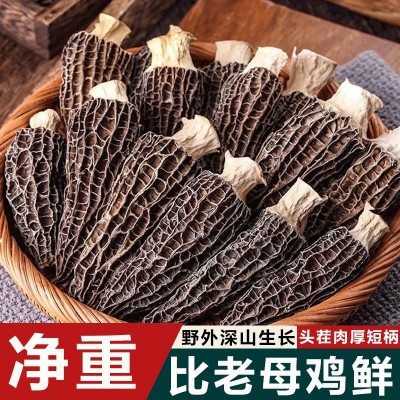 【无干燥剂发货】羊肚菌新鲜干货煲汤云南菌菇牛肚菌火锅食材批发图2