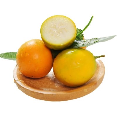 广西脆皮金桔应当季水果金桔整件包邮新鲜水果脆皮金桔一件代发图5