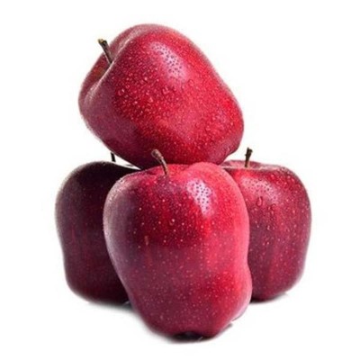 甘肃花牛苹果当季水果苹果整件包邮新鲜水果花牛苹果一件代发图5