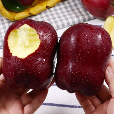 甘肃花牛苹果当季水果苹果整件包邮新鲜水果花牛苹果一件代发图4