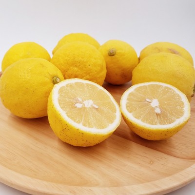 批发四川安岳柠檬 新鲜 三级果 果面有黑点花纹等瑕疵适合榨汁