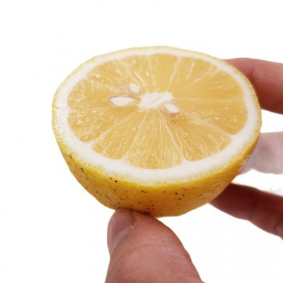 批发四川安岳柠檬 新鲜 三级果 果面有黑点花纹等瑕疵适合榨汁图5