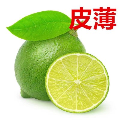 柠檬四季新鲜水果泰国引种塔西提无籽青柠檬奶茶店直供一件代发图2