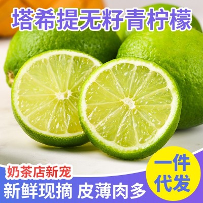 柠檬四季新鲜水果泰国引种塔西提无籽青柠檬奶茶店直供一件代发图4