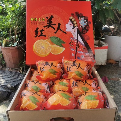 橙子红美人果冻橙福建漳州当季新鲜热带鲜甜多汁水果手剥甜橙大果