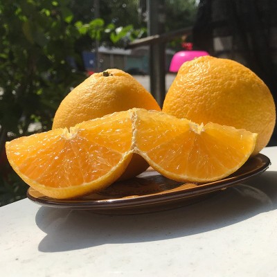 橙子红美人果冻橙福建漳州当季新鲜热带鲜甜多汁水果手剥甜橙大果图3