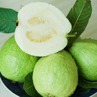 芭乐台湾珍珠巴乐送酸梅粉孕妇水果低甜脆硬番石榴家庭装现摘树熟